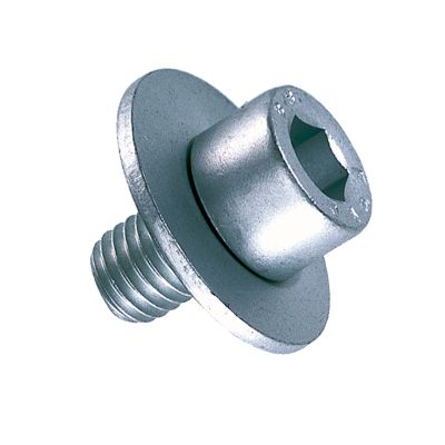 Vis six pans creux avec rondelle M10